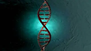 DNA double helix as examples of nucleic acids