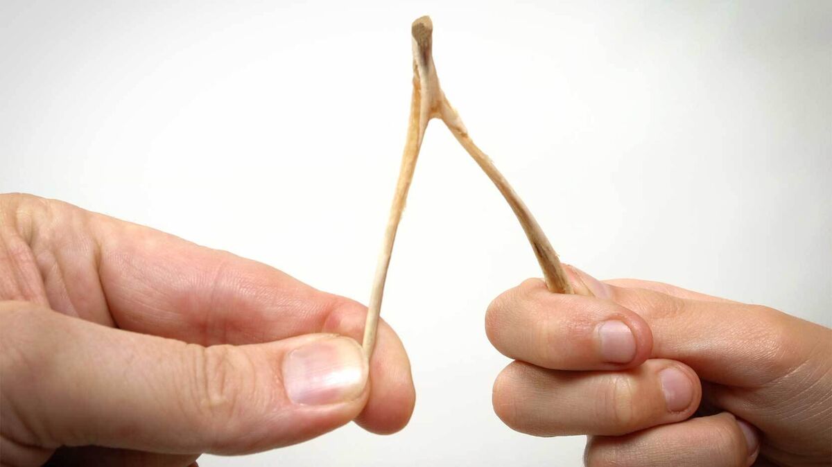 breaking a wishbone as examples of oral tradition