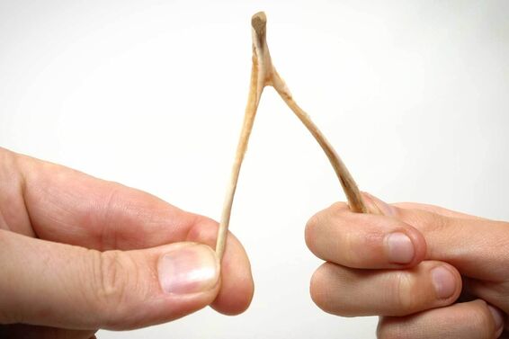 breaking a wishbone as examples of oral tradition