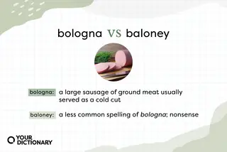 pork bologna with Baloney or Bologna definitions