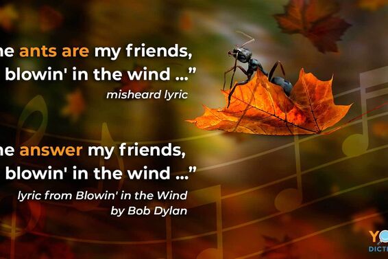 example mondegreen lyric blowin' in the wind bob dylan