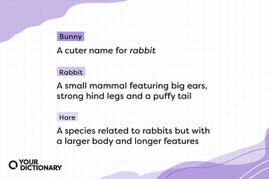 Bunny vs Rabbit vs Hare with definitions