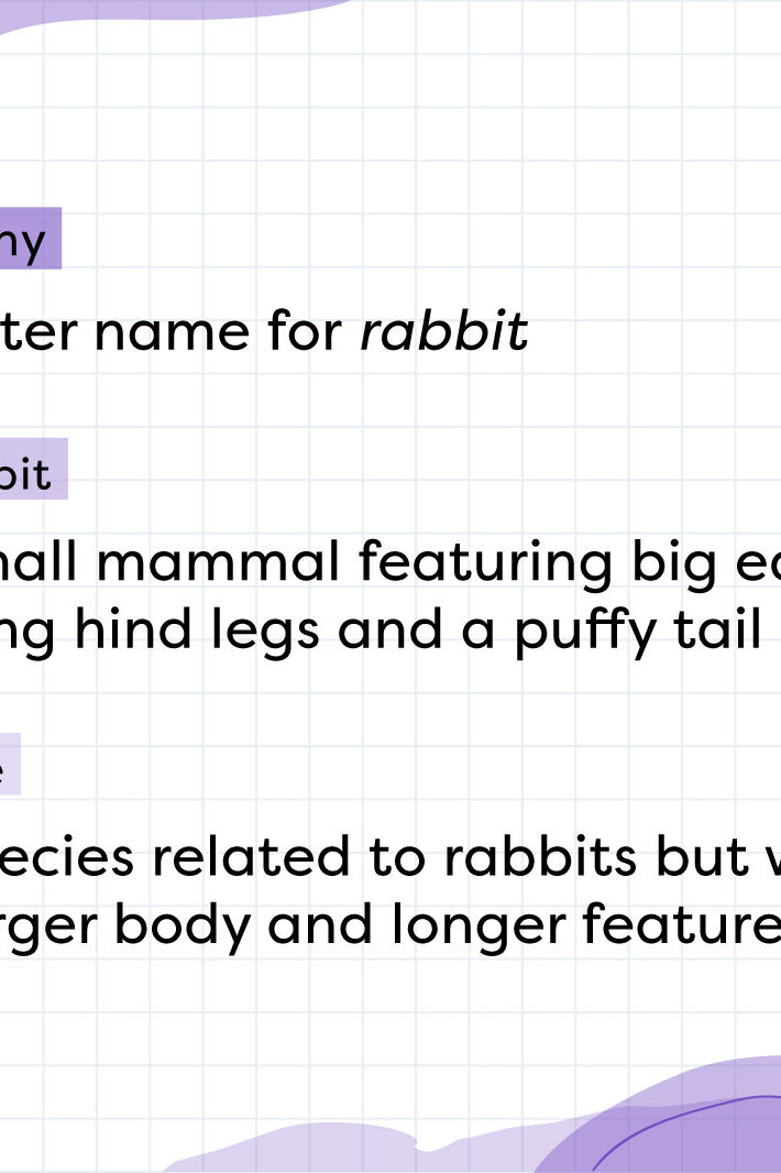 Difference Between Bunny, Rabbit and Hare | Differences Explained