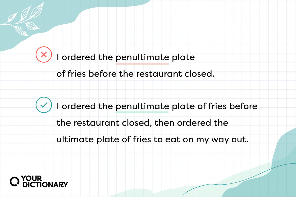 example sentences using penultimate right and wrong