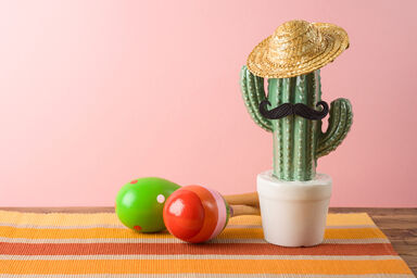 Mexican cactus, party sombrero hat and maracas on wooden table