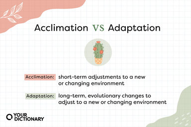 Cactus With Acclimation vs Adaptation definitions