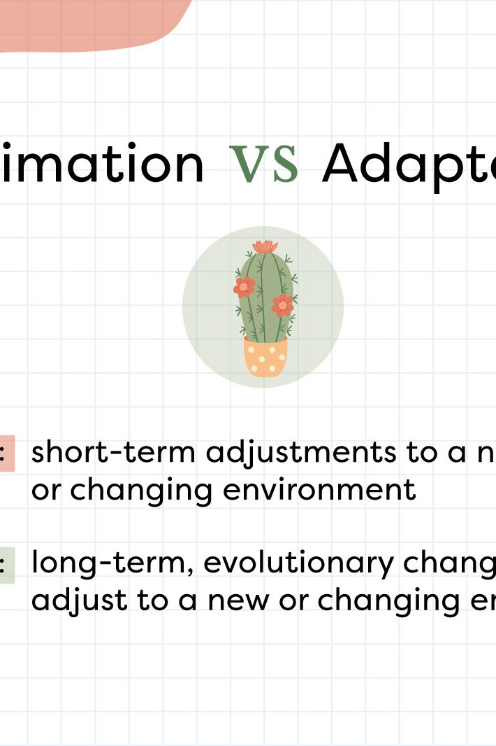 Difference Between Acclimation And Adaptation Differences Explained 