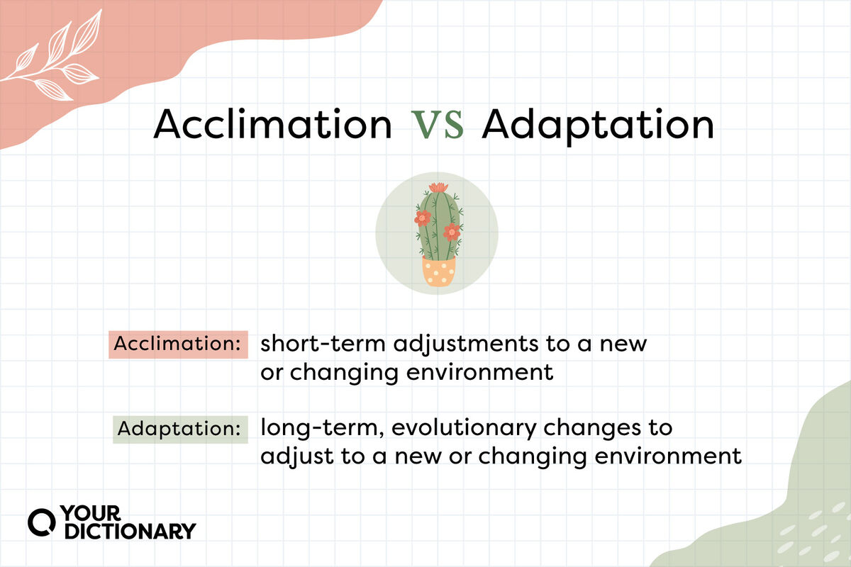 Cactus With Acclimation vs Adaptation definitions