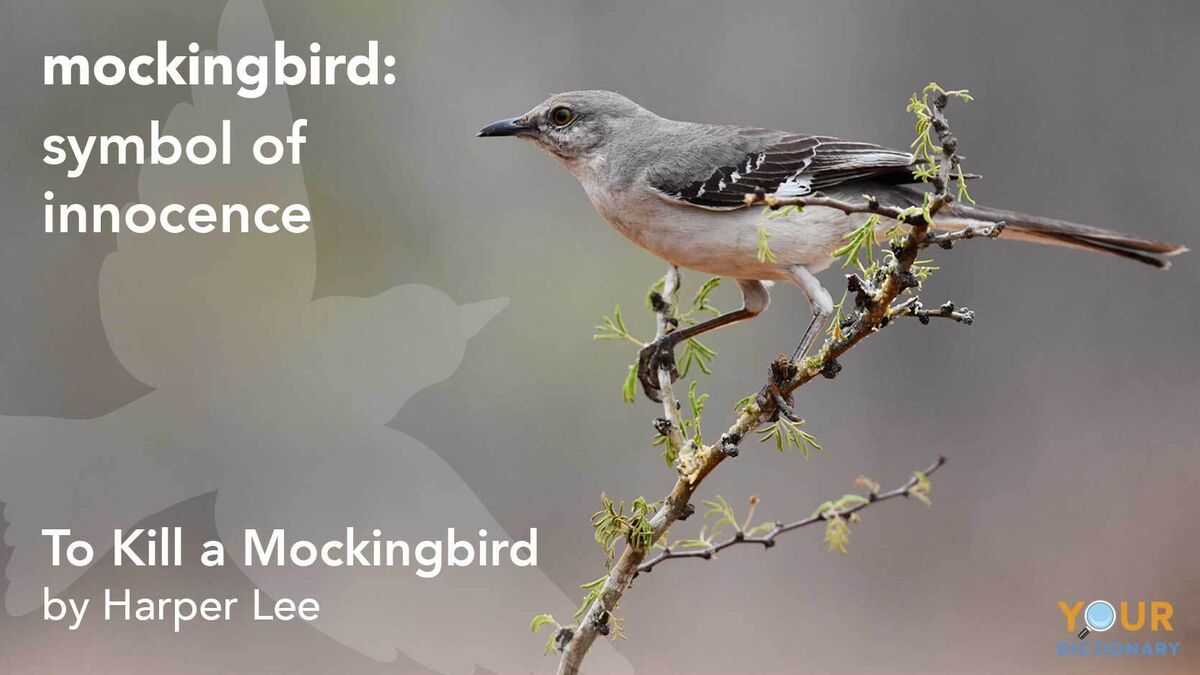intolerance in to kill a mockingbird