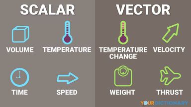 Examples of Vector and Scalar Quantity in Physics