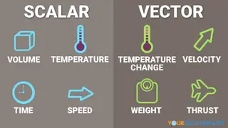 infographic scalar and vector examples