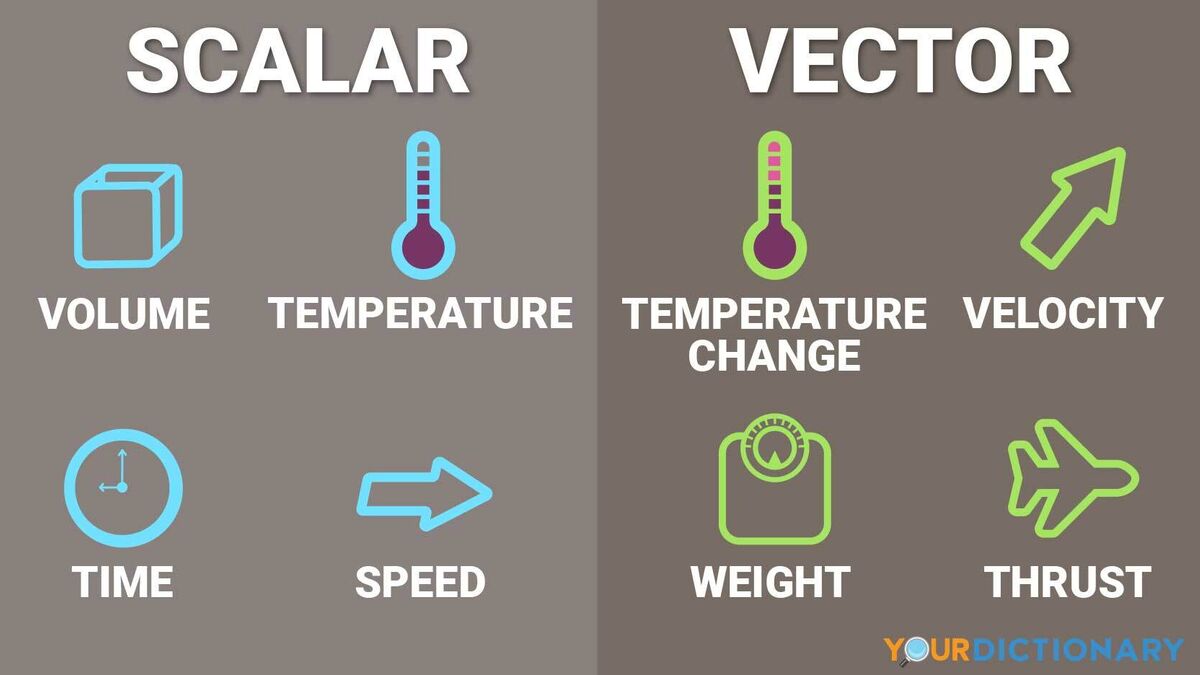 Scalar And Vector Quantities 49 OFF