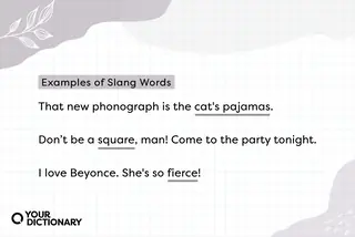 Examples of Slang Words in sentences
