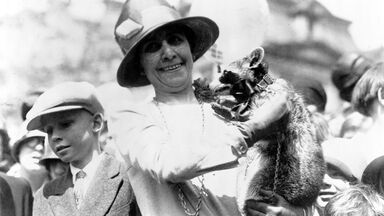 first lady grace coolidge holds rebecca raccoon