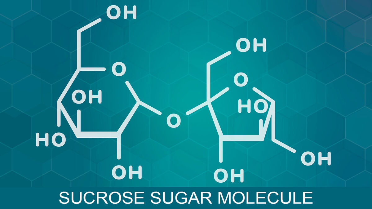 examples of organic compounds sucrose
