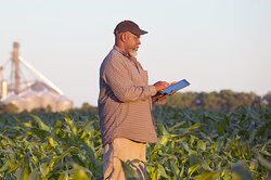 Man standing in field using iPad as examples of paradox