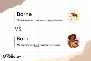 Borne (Mosquito) vs Born (Mother and baby) with definitions