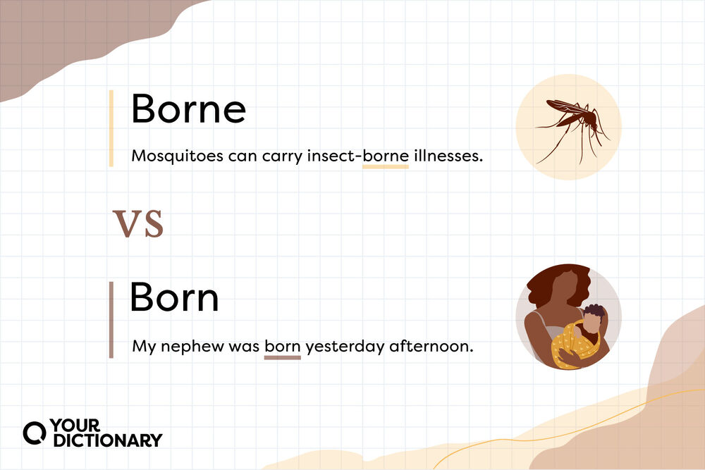 Born Vs Borne Easy Guide To The Differences YourDictionary