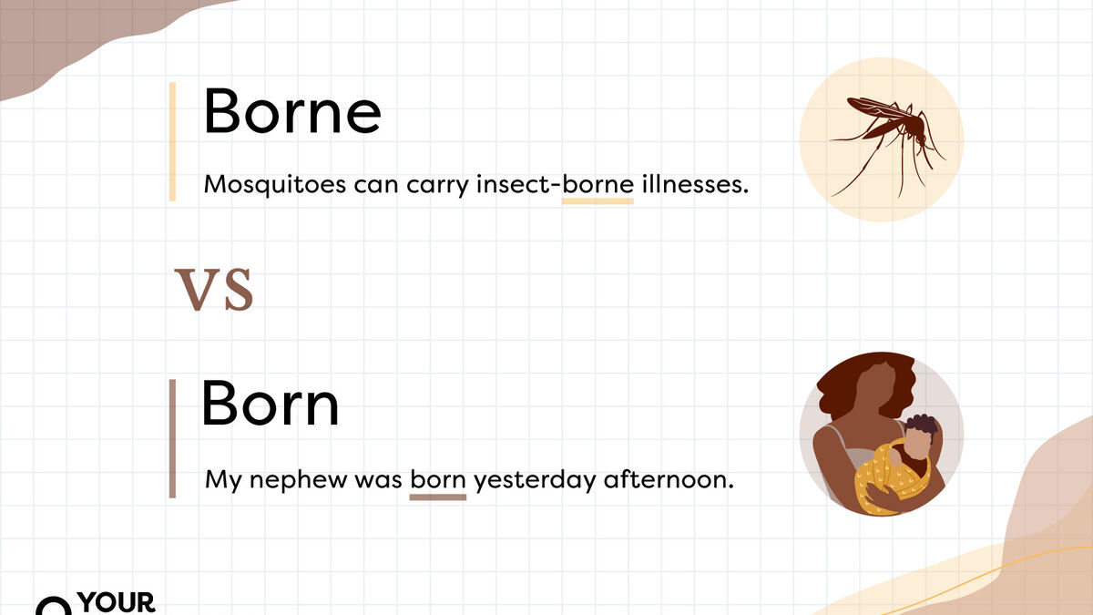 How do you use borne in a sentence?