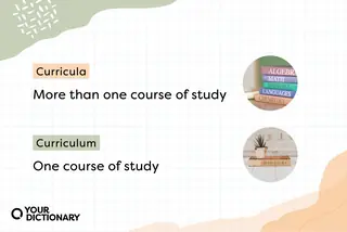 Curricula (Pile of Textbooks) vs Curriculum (History Textbook) With Definitions