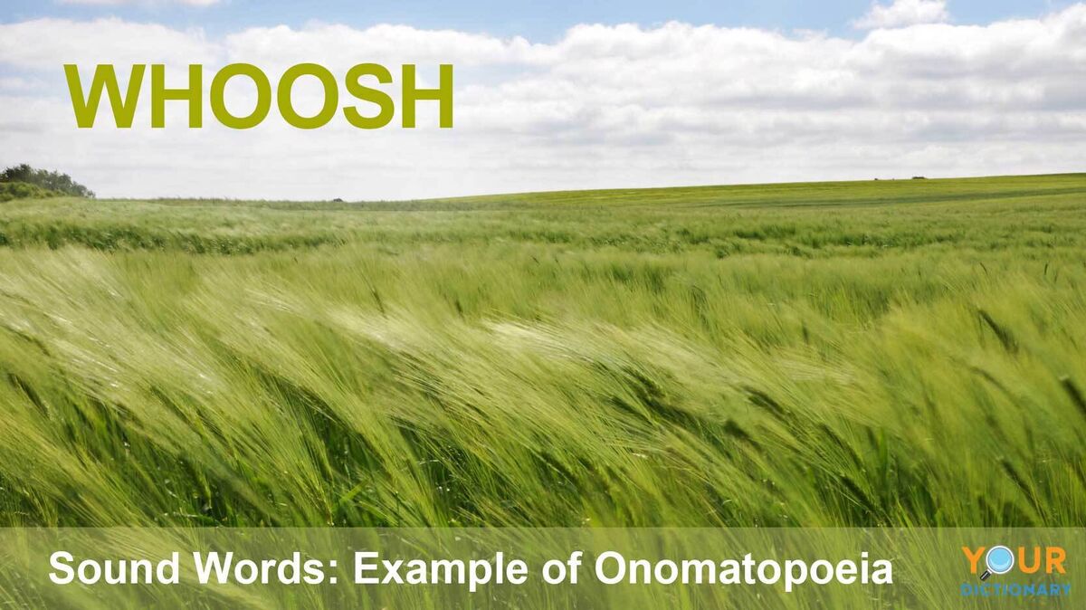 onomatopoeia example of air sound word whoosh