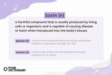 Non-Toxic vs. Toxin Free: What Do These Terms Even Mean?