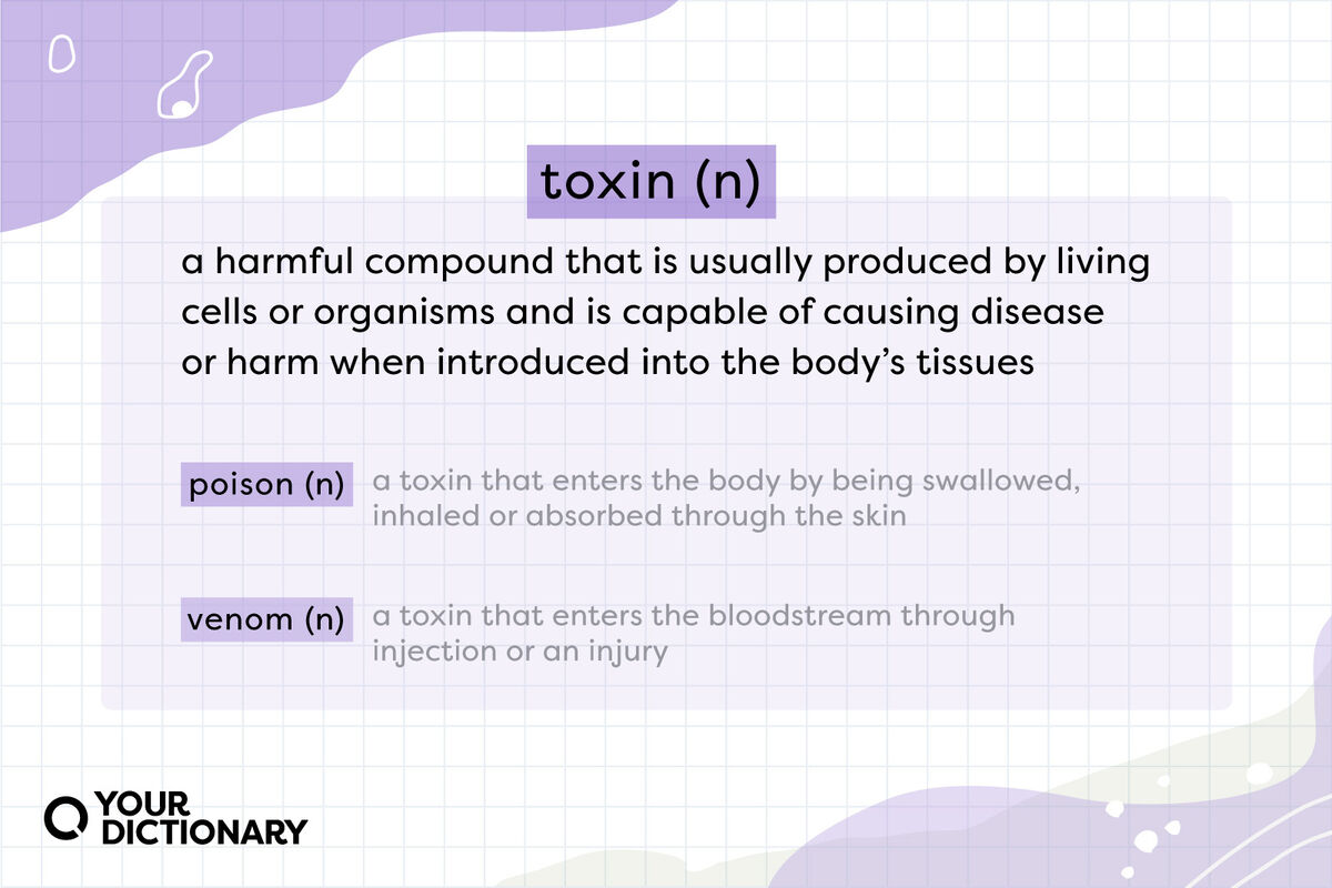 Differences Between Poison And Venom Origins And Examples, 57% OFF