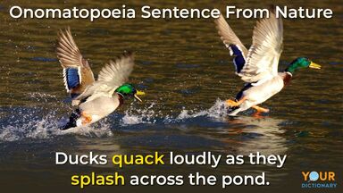 Onomatopoeia ducks in nature example