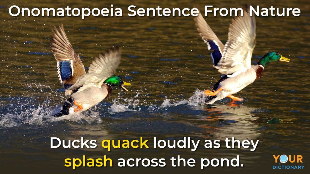 Examples of Onomatopoeia in Nature | YourDictionary