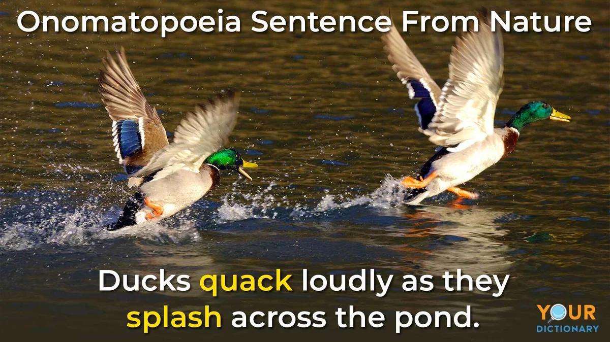 Onomatopoeia ducks in nature example
