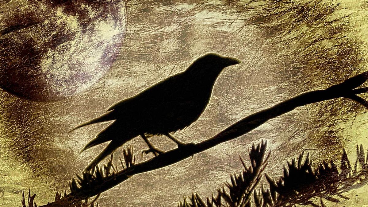 raven on branch with golden moon