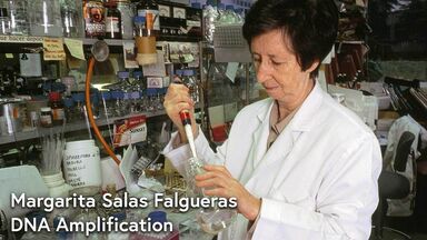 Margarita Salas Falgueras DNA amplification