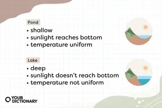 Pond vs lake Illustrations And Definitions