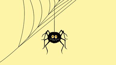spider for spelling word game