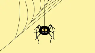 spider for spelling word game
