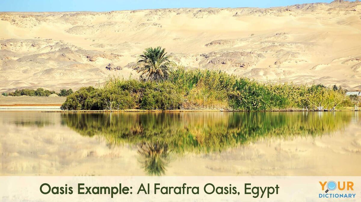 oasis example of Al Farafra Oasis, Egypt
