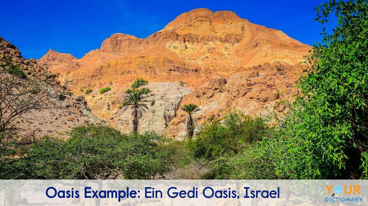 oasis example of Ein Gedi Oasis, Israel