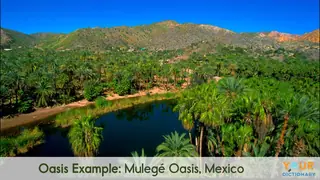 oasis example of Mulegé Oasis, Mexico