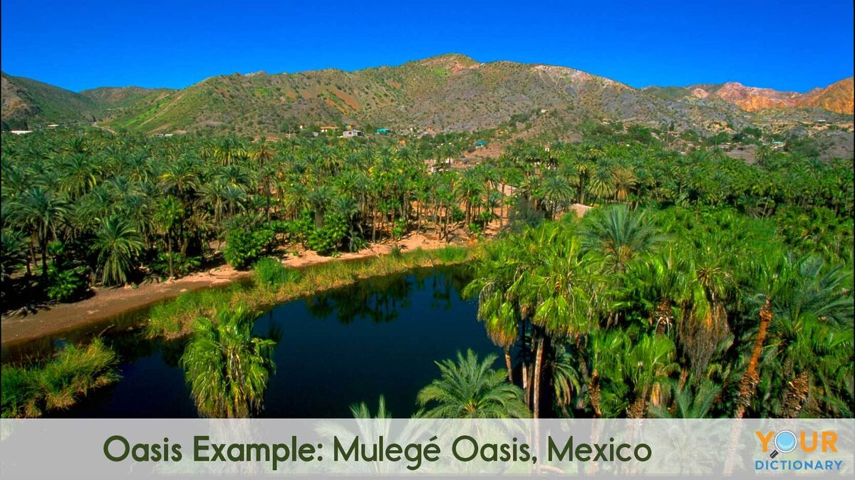 oasis example of Mulegé Oasis, Mexico