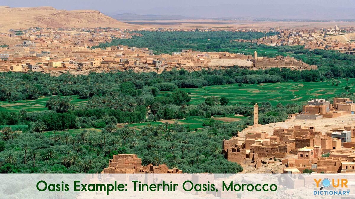 oasis example of Tinerhir Oasis, Morocco
