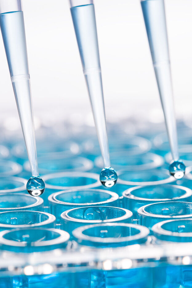 Examples of Hydrolysis Common Reaction Encounters YourDictionary