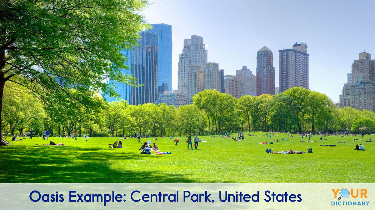 oasis example of Central Park in United States