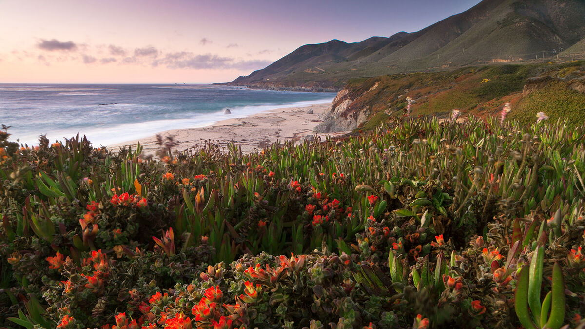 garrapata state park california