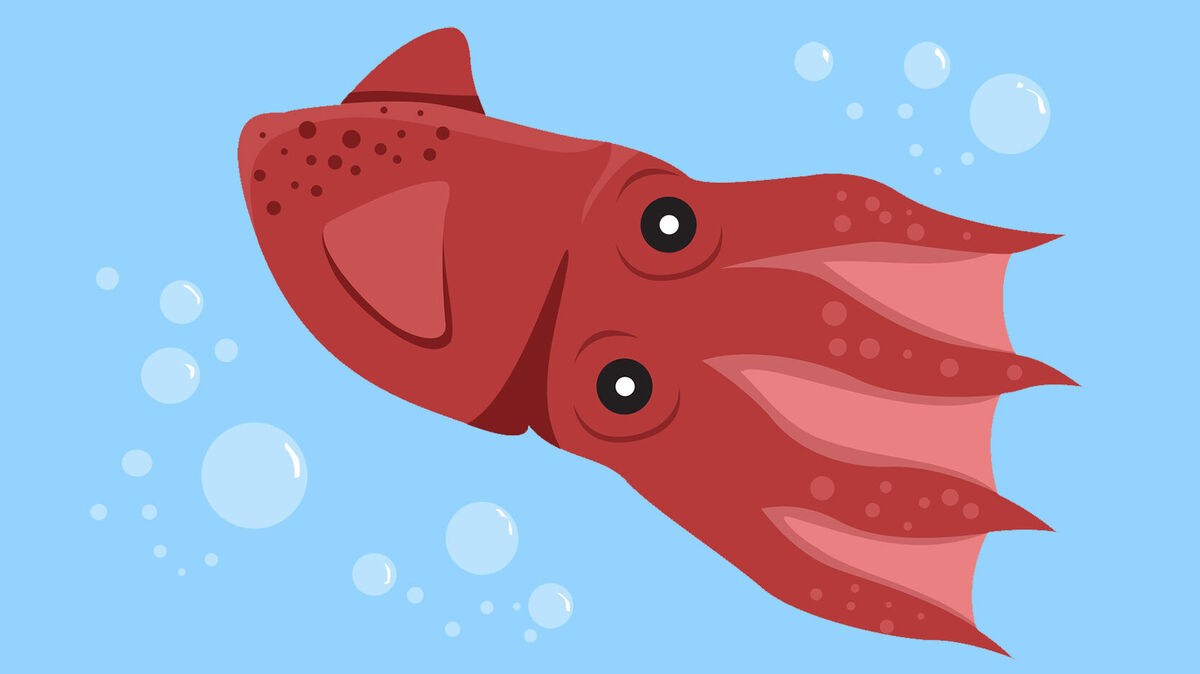 vampire squid under water illustration