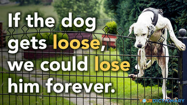 loose versus lose dog climbing fence loose versus lose dog climbing fence