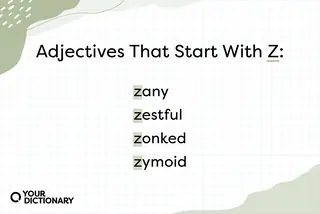 List of Four Adjectives That Start with Z