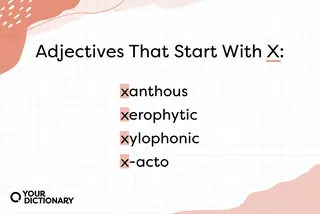 Adjectives That Start with X