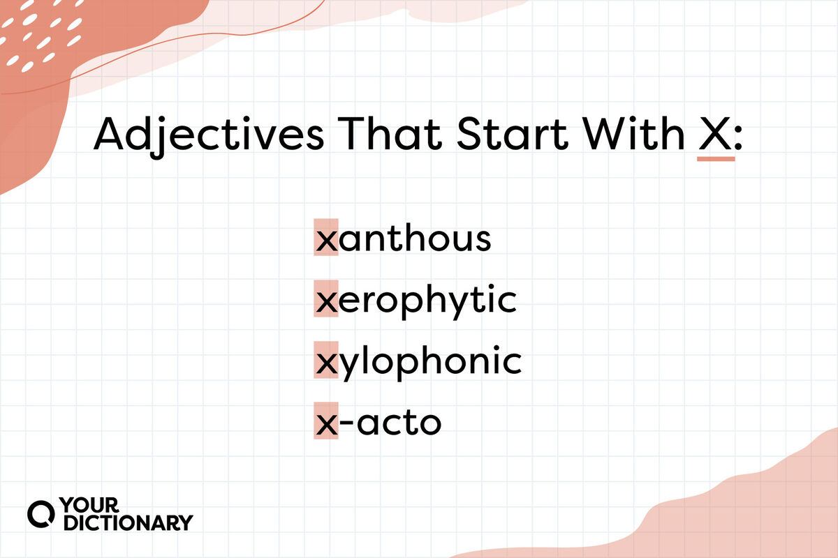 Adjectives That Start with X