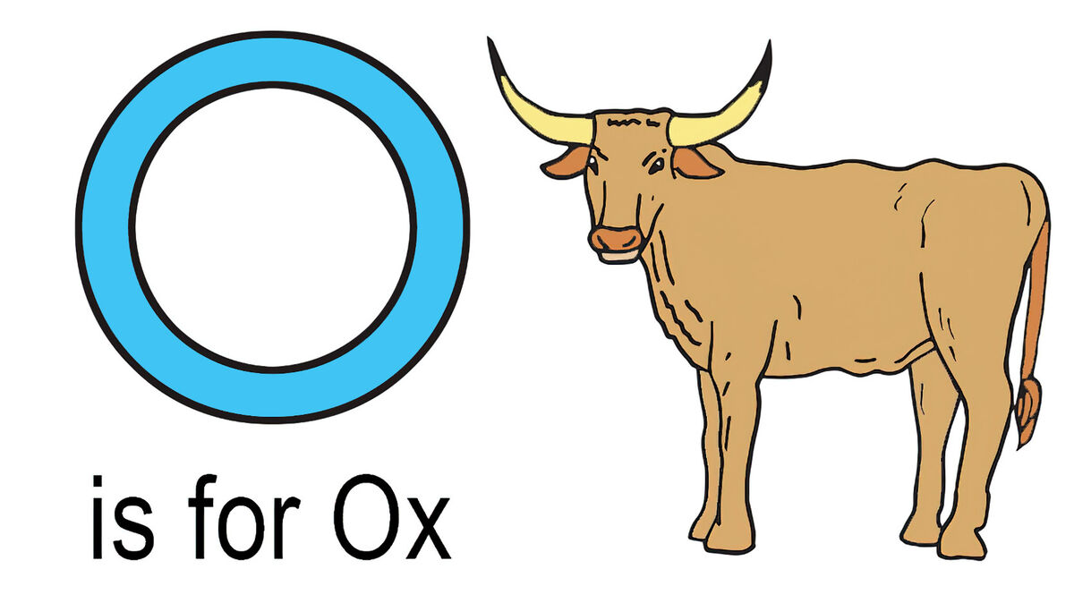 O words for kids example of ox