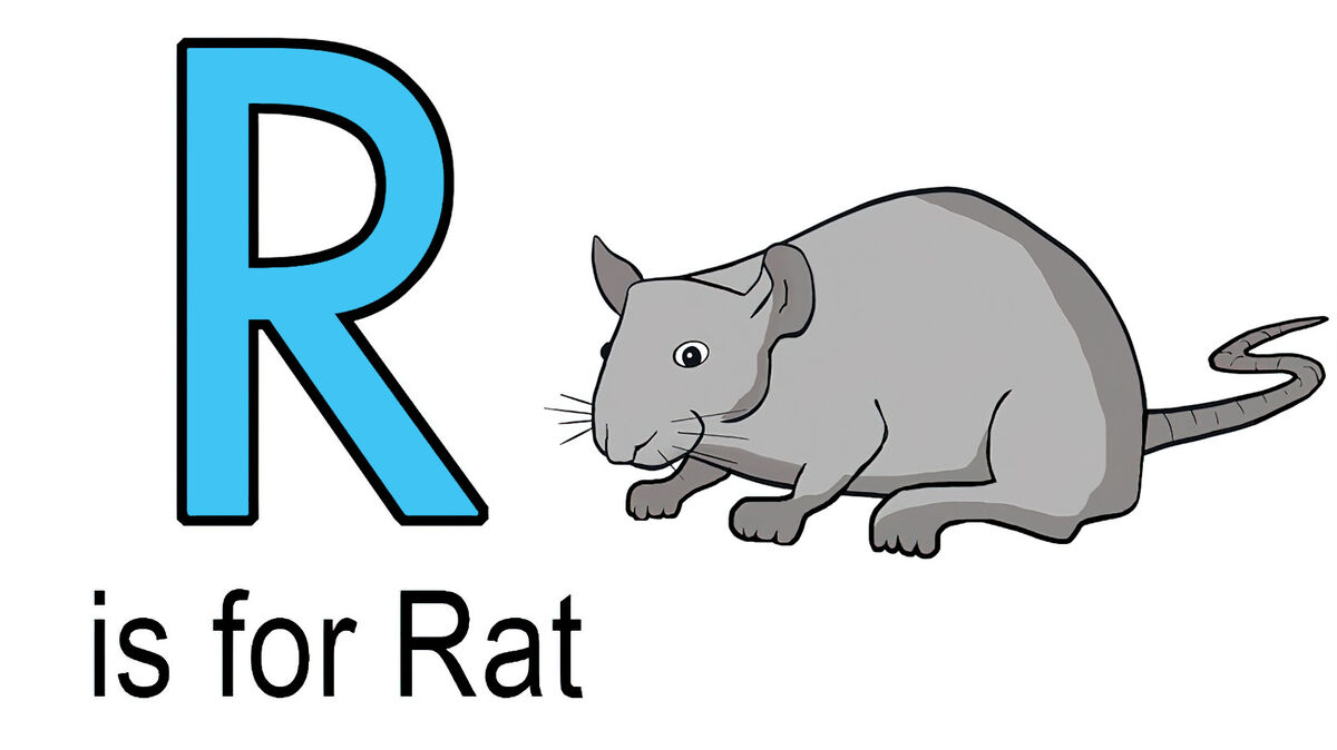 R words for kids example of rat